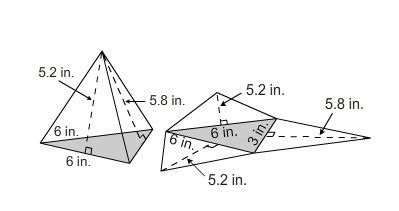 A rectangular prism or cuboid is formed by folding a net as shown −. PLEASE HELP! What is the lateral surface area of the ...