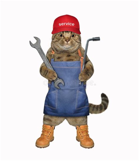 193 Mechanic Cat Stock Photos Free And Royalty Free Stock Photos From