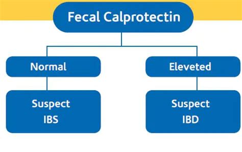 Fecal Calprotectin Test