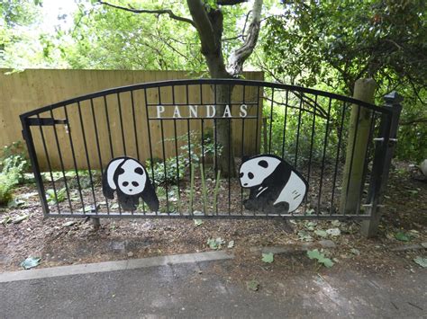 Giant Panda Gate Zoochat