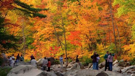 Guided Fall Foliage Tours Newsday