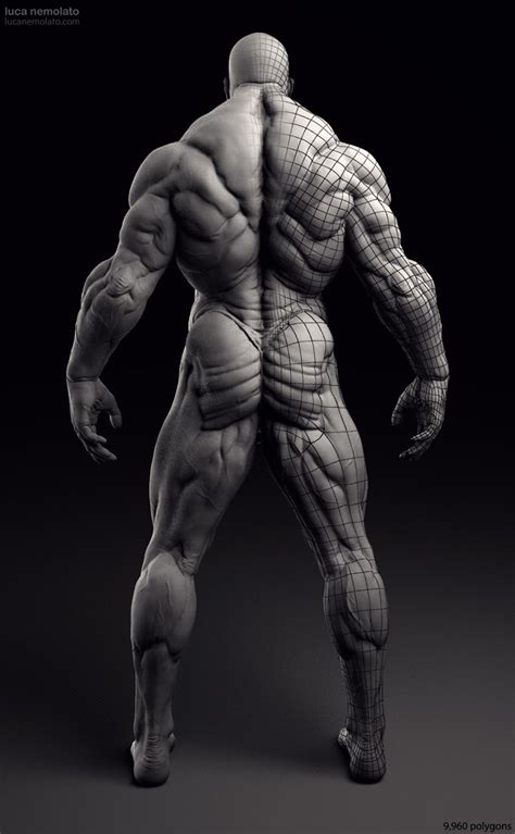 Extreme Bodybuilder Vray Renders Human Anatomy Drawing Zbrush