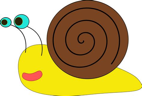 Clipart Snail