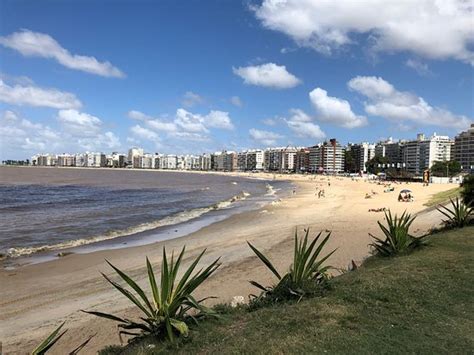 Playa Pocitos Montevideo Aktuelle 2020 Lohnt Es Sich Mit Fotos