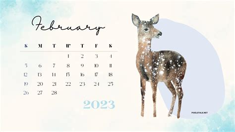February 2023 Calendar Desktop Wallpapers Pixelstalknet