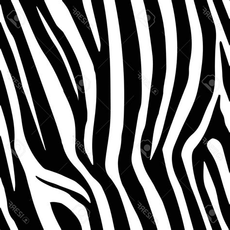 Zebra Pattern Vector At Collection Of Zebra Pattern