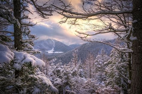 Landscape Nature Winter Sunset Forest Snow Mountain