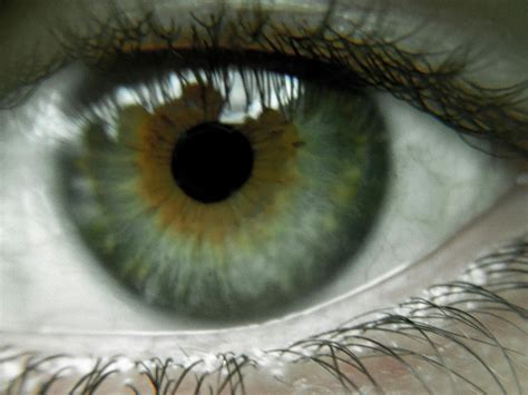 Free Stock Photo Of Eye Green Eye Human Eye