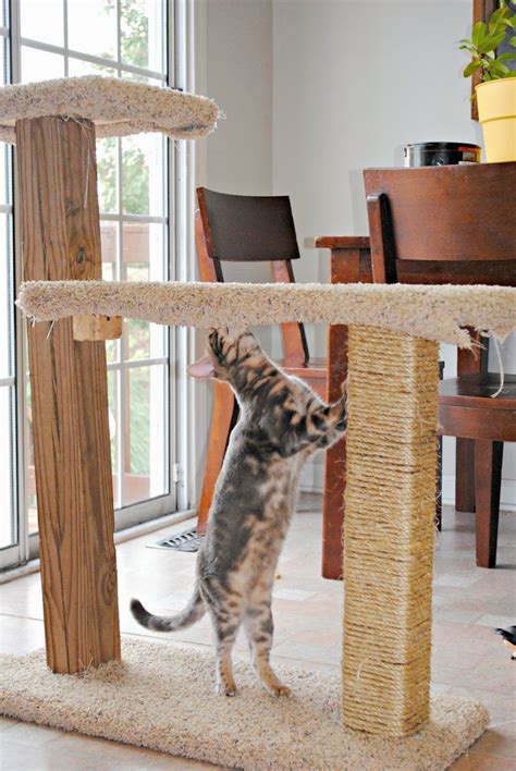 Scratching is an innate and necessary part of being a cat. DIY Cat Scratcher | Diy cat scratcher, Cat scratcher, Cat diy