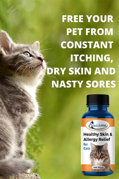 Cat Allergy Skin Relief Cat Allergies Allergic Dermatitis Skin