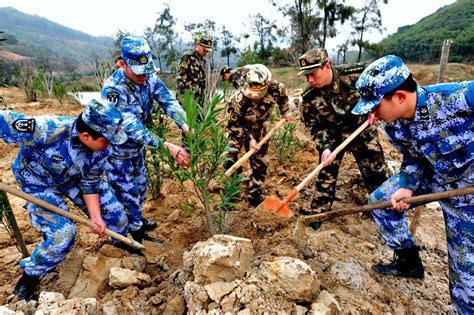 Tree Planting Boosts Chinas Green Drive 1 Cn