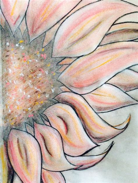 A Drawing Of A Sunflower With Pink And Yellow Petals