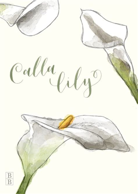 Illustrated Calla Lily Flowers Personalised Card Moonpig