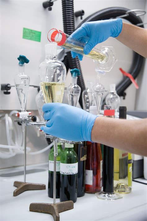 A taste of wine chemistry | Feature | Chemistry World