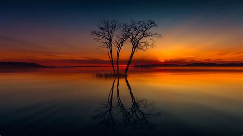 1920x1080 Horizon Lake Nature Reflection Sunset Tree Laptop Full Hd 1080p Hd 4k Wallpapers