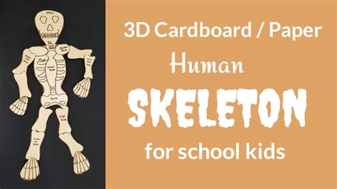 3d Human Skeleton With Labels School Project For Kids Youtube