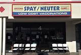 Spay And Neuter Clinic Tucson Images