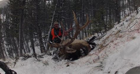Check Out This Monster Bull Elk World Record Montana Hunting And
