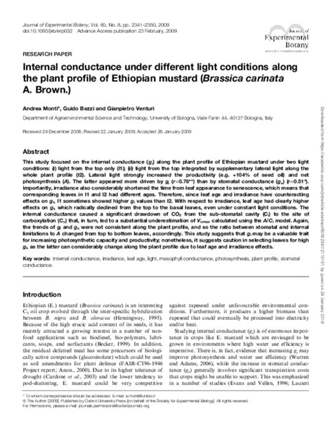 pdf internal conductance under different light conditions along the plant profile of ethiopian