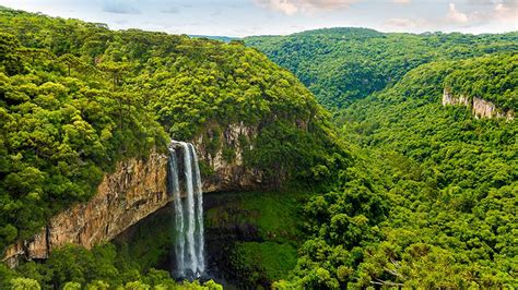 5 Of The Best Jungle And Rainforest Walks On The Planet World Walks