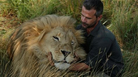 Lion Kills Woman At Refuge Of South African Lion Whisperer Ctv News