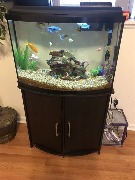 38 Gallon Fish Tank For Sale In Concord Nc Offerup