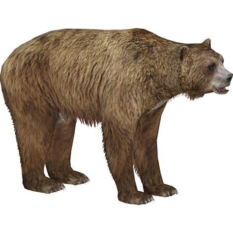 Giant Short Faced Bear Lgcfm And Ulquiorra Zt2 Download Library Wiki