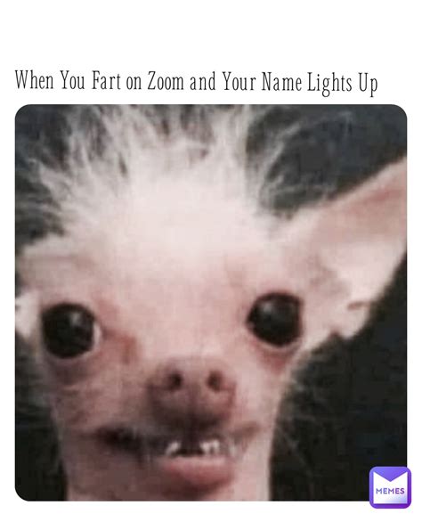When You Fart On Zoom And Your Name Lights Up Froggymemes Memes