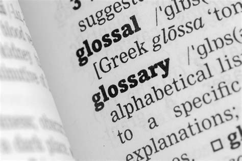 What Does A Glossary Look Like