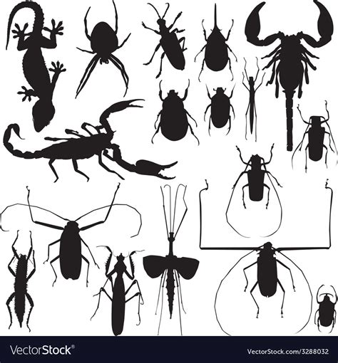 Insects Royalty Free Vector Image Vectorstock