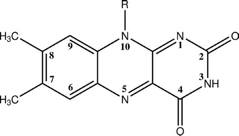Chemical Structure And Labeling Of Flavins R Ch Lumiflavin R