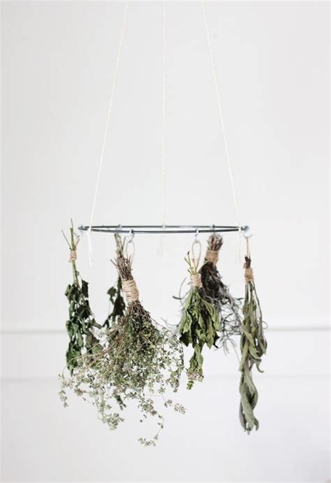 19 Recipes To Make The Most Of Fresh Herbs Herb Drying Racks Drying