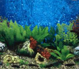Printable Fish Aquarium Backgrounds