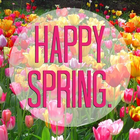 Happy Spring Wallpapers Top Free Happy Spring Backgrounds