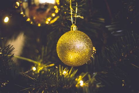 Free Photo Brown Christmas Bauble Gold Winter Tree Free Download