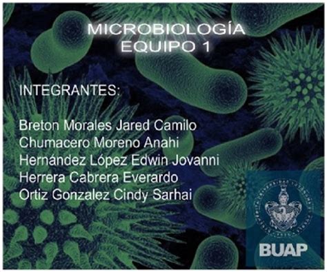 Historia De La Microbiología Algunos Acontecimientos Relevantes