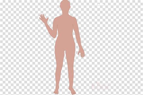 Download Cartoon Human Body Outline Clipart Human Body Drawing Cute