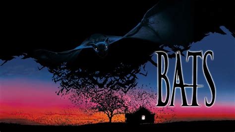 Bats Español Latino Online Descargar 1080p