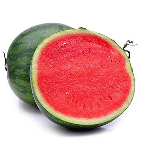 Creative Farmer Watermelon Seeds Seedless Watermelon Sweet Tasty Easy