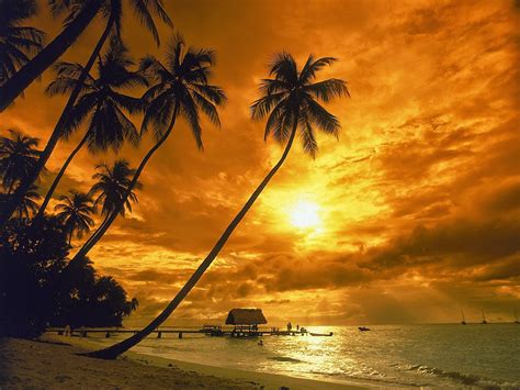 PEMANDANGAN SENJA / SUNSET SCENERY - Okt. - All Best ...