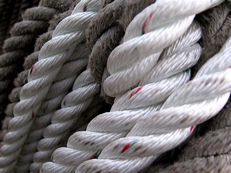 The Beauty Of Coiled Knotted Magical Ropes Cool San Diego Sights