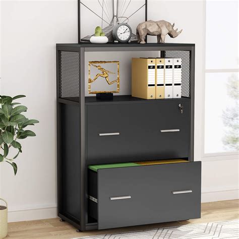 Buy Tribesigns 2 Drawer Lateral File Cabinet With Lock Letterlegal