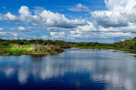 Myakka River State Park Fl What To See And Do And How To Get There