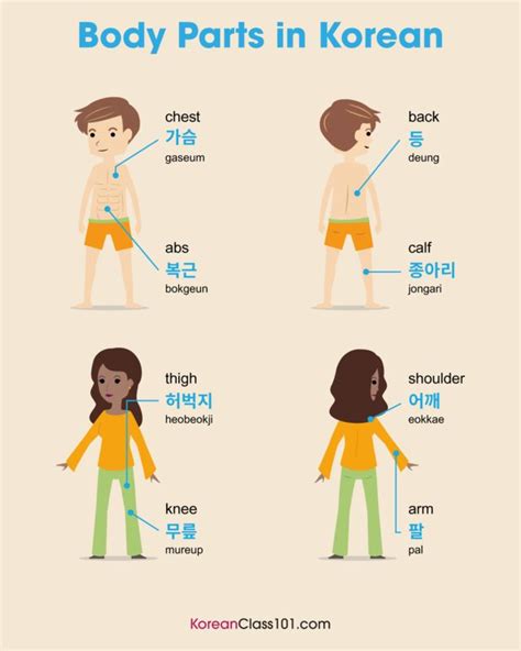💪👁️ Parts Of Your Body In Korean Ps Learn Korean With