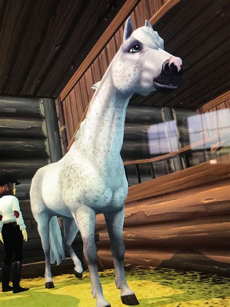 horse     star stable photography amino