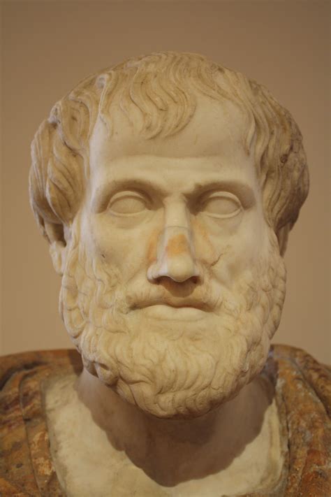 Aristotle Illustration Ancient History Encyclopedia