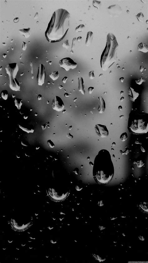 download black and white hd water drops wallpaper