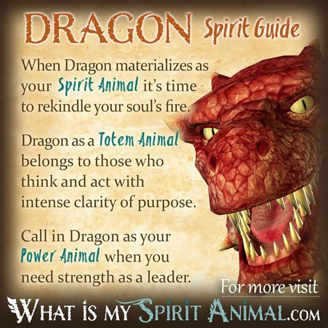 How To Find Your Spirit Animal The Complete Guide Power Animal