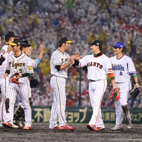 baseball in japan guide travel japan japan national tourism organization