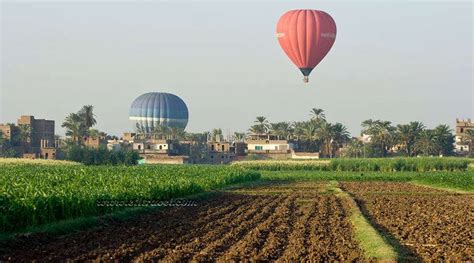 The balloon crashed into a sugar cane field after an explosion caused by a fire. Hot Air Balloon Luxor Egypt tours, prices, booking, reviews